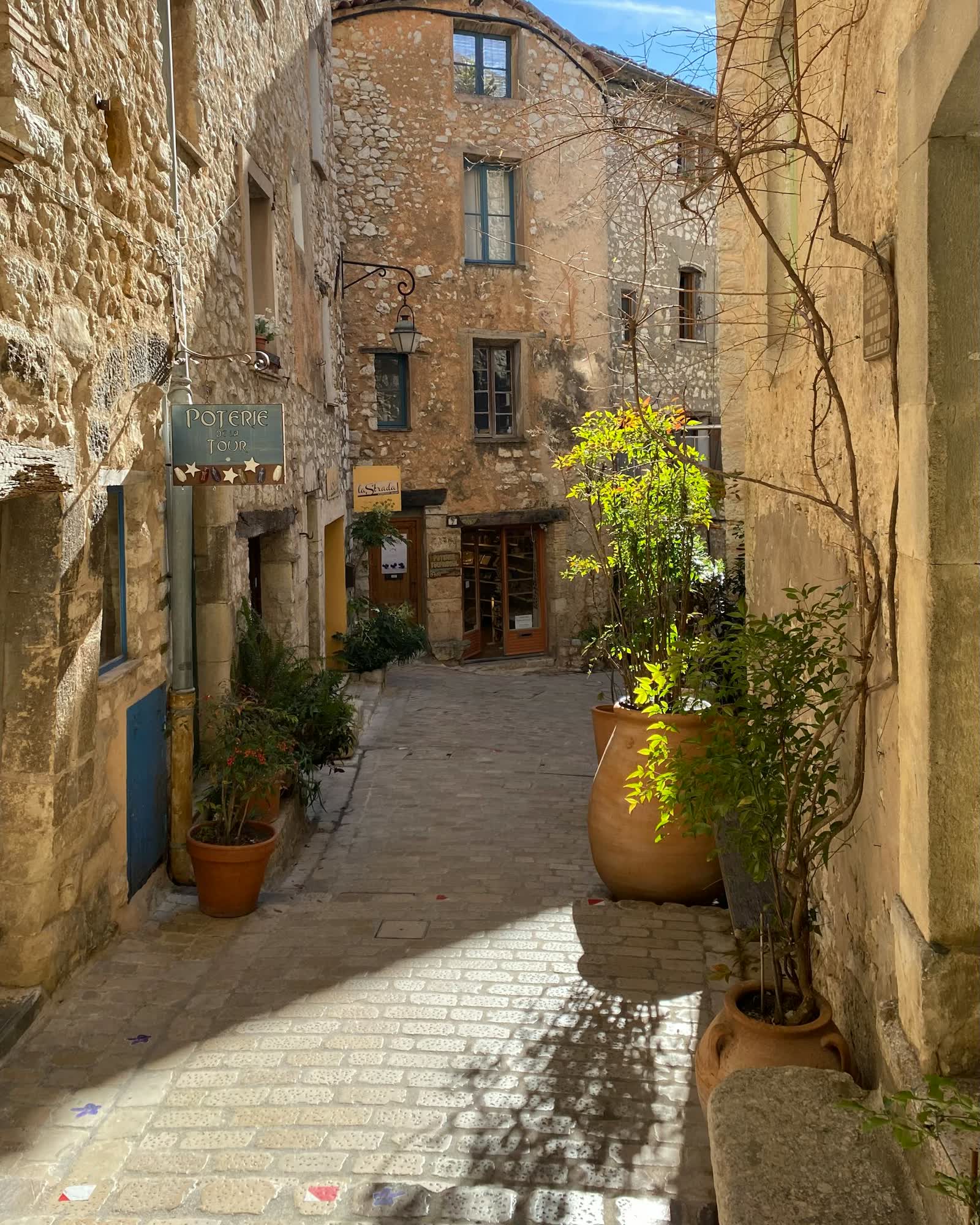 Ruelle pavée de la vieille ville, plantes en pots