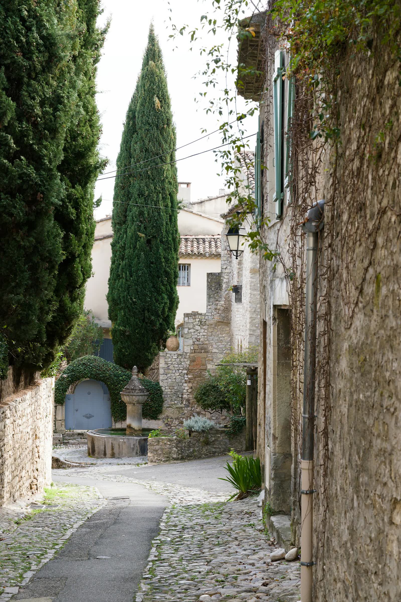Ruelle médiévale de la vieille ville de Grasse, pierre et cyprès